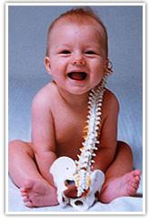 Baby-spine